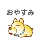 柴山犬太（個別スタンプ：5）