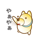柴山犬太（個別スタンプ：6）