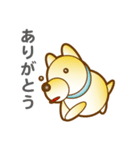 柴山犬太（個別スタンプ：10）