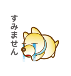 柴山犬太（個別スタンプ：11）