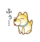 柴山犬太（個別スタンプ：15）