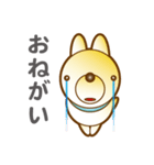 柴山犬太（個別スタンプ：20）