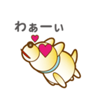 柴山犬太（個別スタンプ：24）