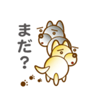 柴山犬太（個別スタンプ：29）