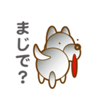 柴山犬太（個別スタンプ：30）