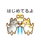 柴山犬太（個別スタンプ：31）
