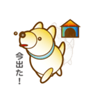 柴山犬太（個別スタンプ：35）