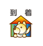 柴山犬太（個別スタンプ：39）