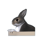 ふわふわウサギのスタンプ（個別スタンプ：24）