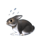 ふわふわウサギのスタンプ（個別スタンプ：33）