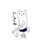 busyなネコ（個別スタンプ：24）