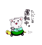 busyなネコ（個別スタンプ：26）