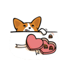 Funny Corgi Kaka（個別スタンプ：2）