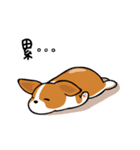 Funny Corgi Kaka（個別スタンプ：3）