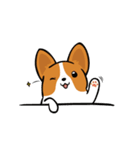 Funny Corgi Kaka（個別スタンプ：4）