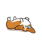 Funny Corgi Kaka（個別スタンプ：5）