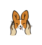 Funny Corgi Kaka（個別スタンプ：6）