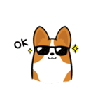 Funny Corgi Kaka（個別スタンプ：7）