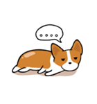 Funny Corgi Kaka（個別スタンプ：11）