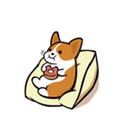 Funny Corgi Kaka（個別スタンプ：12）