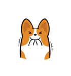 Funny Corgi Kaka（個別スタンプ：14）