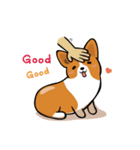 Funny Corgi Kaka（個別スタンプ：16）