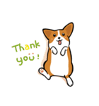 Funny Corgi Kaka（個別スタンプ：18）