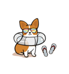 Funny Corgi Kaka（個別スタンプ：20）