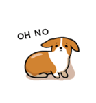 Funny Corgi Kaka（個別スタンプ：23）