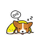 Funny Corgi Kaka（個別スタンプ：24）