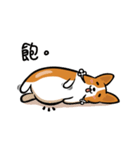 Funny Corgi Kaka（個別スタンプ：26）