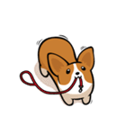 Funny Corgi Kaka（個別スタンプ：30）