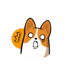 Funny Corgi Kaka（個別スタンプ：31）