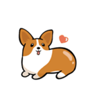 Funny Corgi Kaka（個別スタンプ：33）