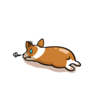 Funny Corgi Kaka（個別スタンプ：35）