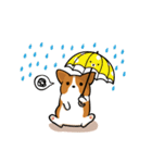 Funny Corgi Kaka（個別スタンプ：36）