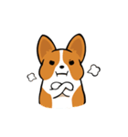 Funny Corgi Kaka（個別スタンプ：39）