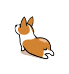 Funny Corgi Kaka（個別スタンプ：40）