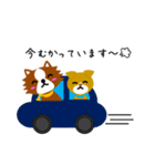 いるてん（個別スタンプ：19）