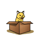 Cat Love Box（個別スタンプ：16）