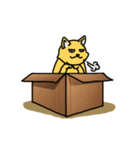 Cat Love Box（個別スタンプ：23）