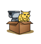 Cat Love Box（個別スタンプ：24）