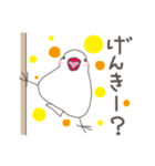 関西弁の白文鳥 2（個別スタンプ：11）