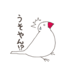 関西弁の白文鳥 2（個別スタンプ：23）