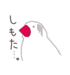 関西弁の白文鳥 2（個別スタンプ：25）