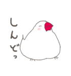 関西弁の白文鳥 2（個別スタンプ：30）