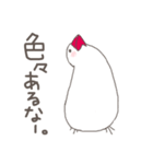 関西弁の白文鳥 2（個別スタンプ：31）