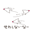 関西弁の白文鳥 2（個別スタンプ：33）