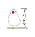 関西弁の白文鳥 2（個別スタンプ：37）