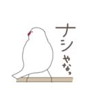 関西弁の白文鳥 2（個別スタンプ：38）